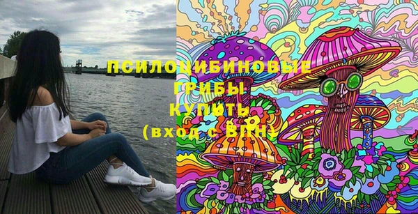 бошки Новодвинск