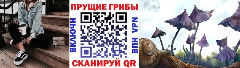 Галлюциногенные грибы Magic Shrooms ссылка на мегу сайт Асино