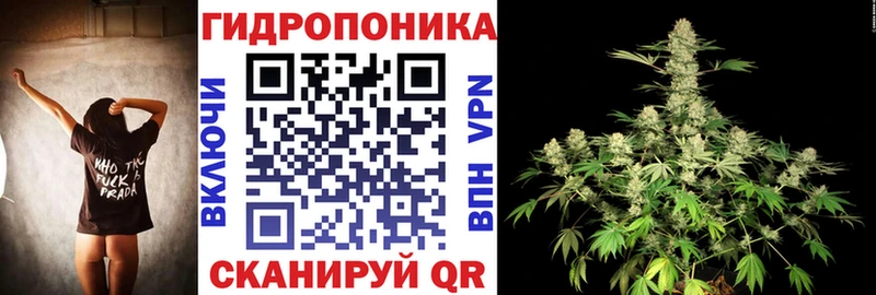 Бошки Шишки сатива  Асино 